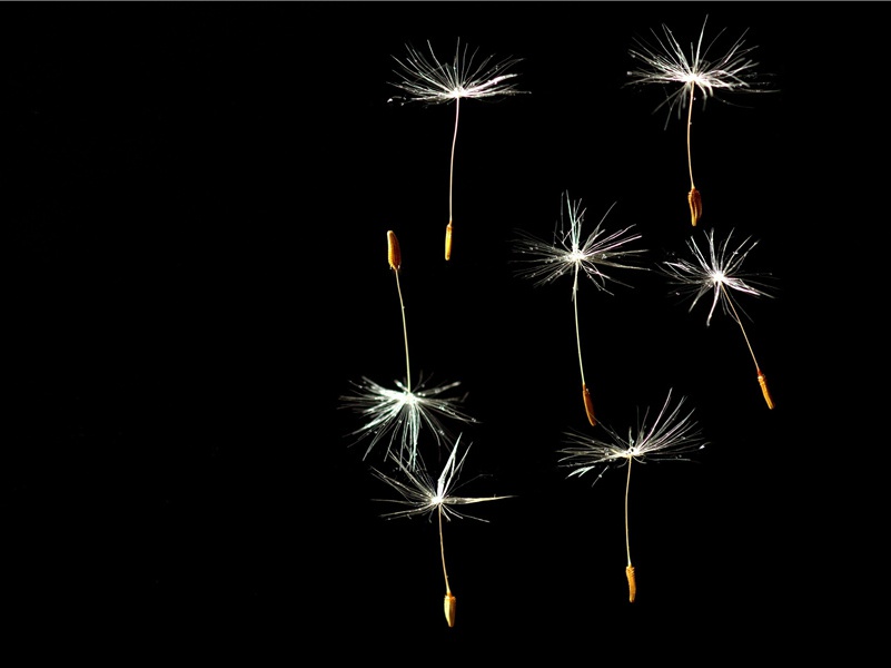 君不见管鲍贫时交,此道今人弃如土出处意思赏析