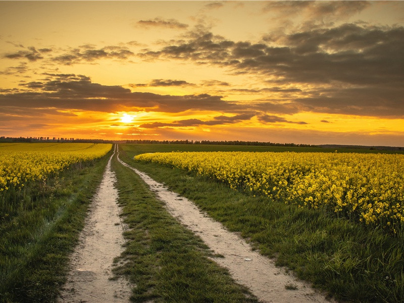 忽闻歌古调,归思欲沾巾的出处意思赏析