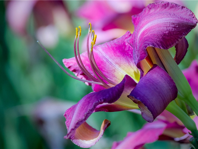 一夜寒生关塞,万里云埋陵阙,耿耿恨难休出处意思赏析