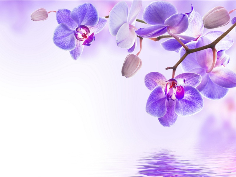 可怜荒垄穷泉骨,曾有惊天动地文出处意思赏析