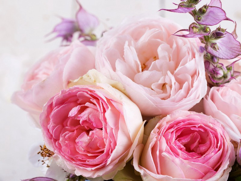 移舟泊烟渚,日暮客愁新出处翻译赏析