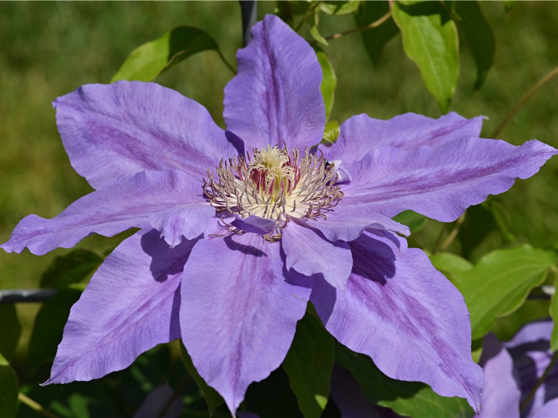 津亭秋月夜,谁见泣离群出处意思赏析