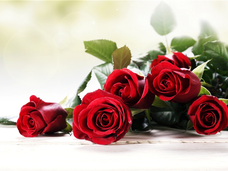 枕簟溪堂冷欲秋,断云依水晚来收出处意思赏析