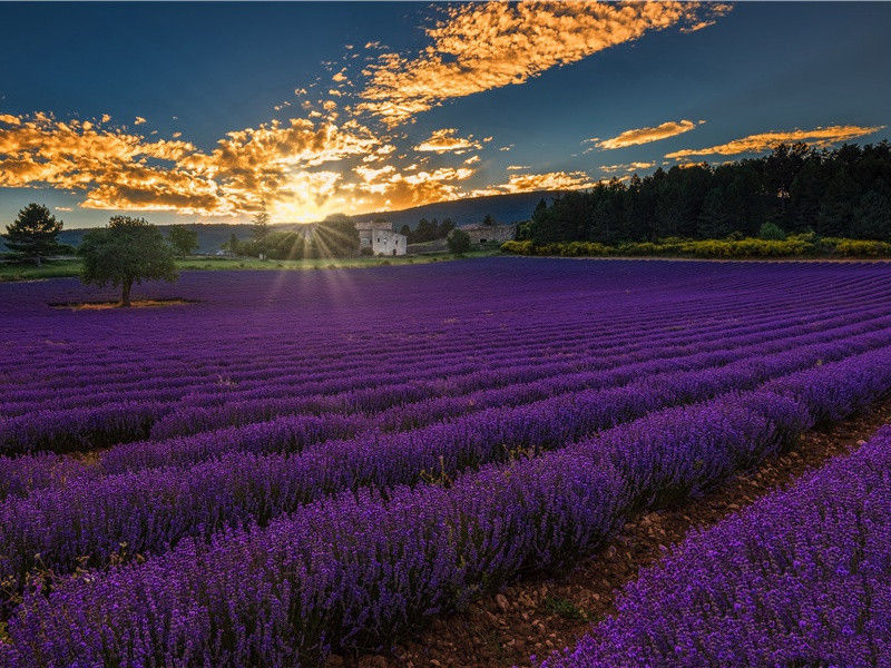 津亭秋月夜,谁见泣离群出处意思赏析