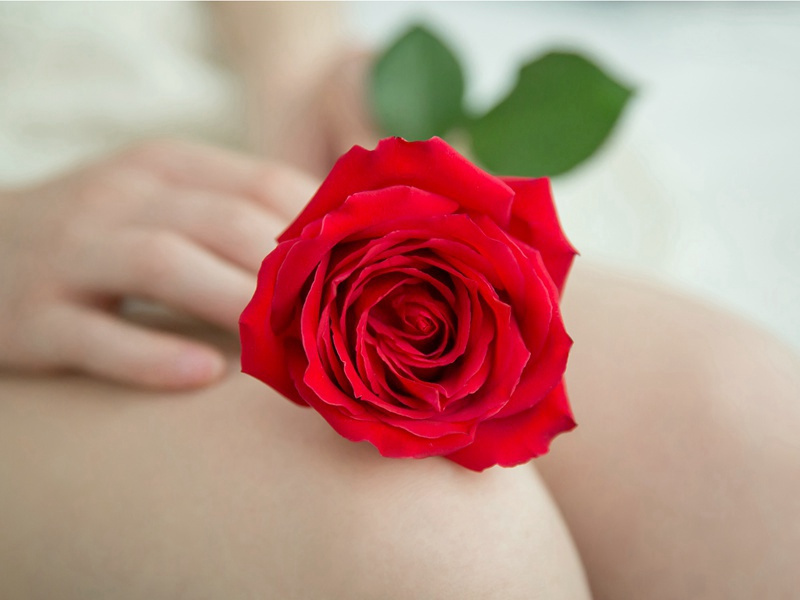 夜半乐·冻云黯淡天气-原文句解题解赏析-柳永古诗