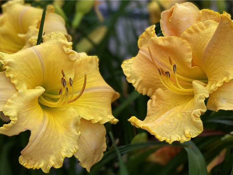 望海潮·东南形胜-原文句解题解赏析-柳永古诗