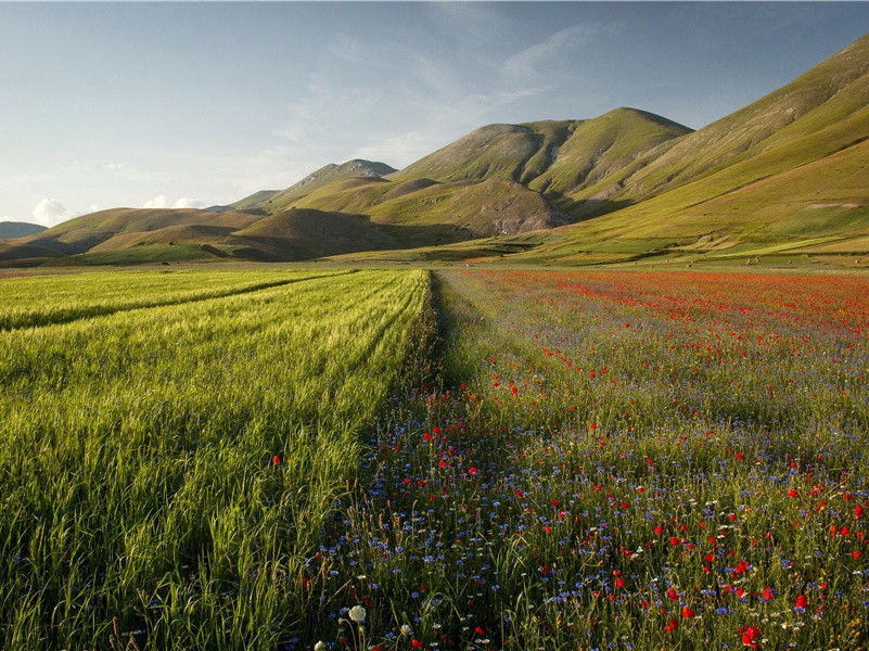 李白《送外甥郑灌从军三首》古诗翻译赏析阅读
