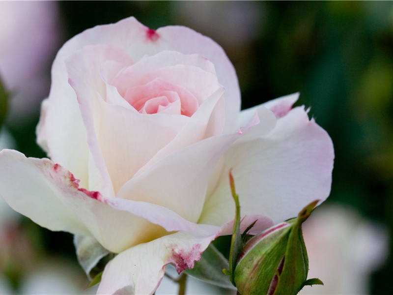 有耳莫洗颍川水,有口莫食首阳蕨的出处意思赏析