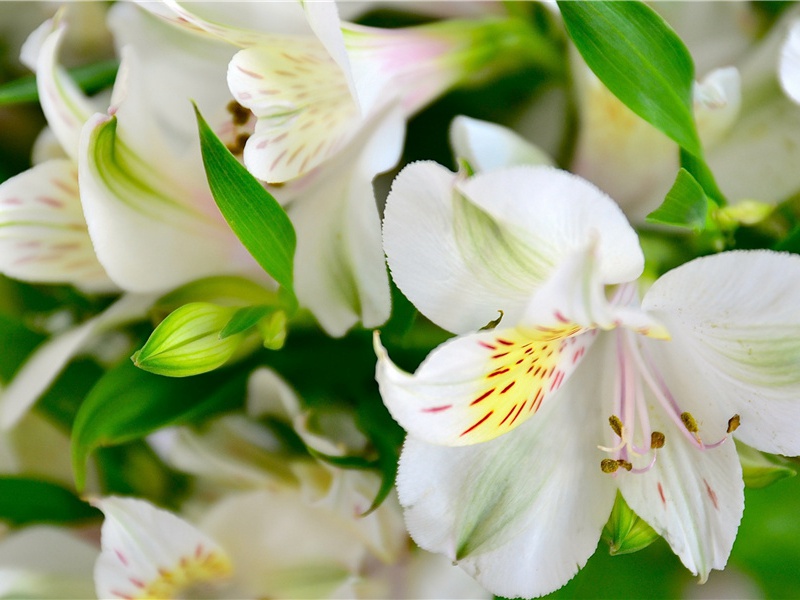 俎豆犹古法,衣裳无新制出处意思赏析