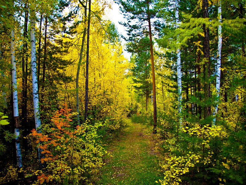 岐王宅里寻常见,崔九堂前几度闻的出处意思赏析