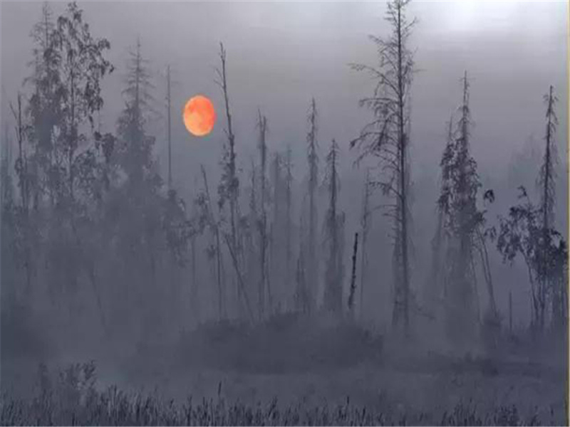 垆边人似月,皓腕凝霜雪出处意思赏析