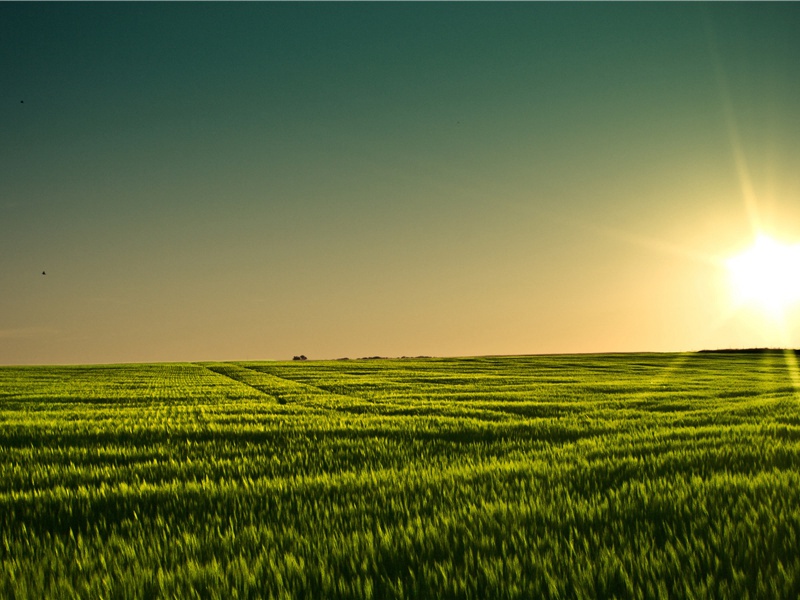 北极朝廷终不改,西山寇盗莫相侵的出处意思赏析