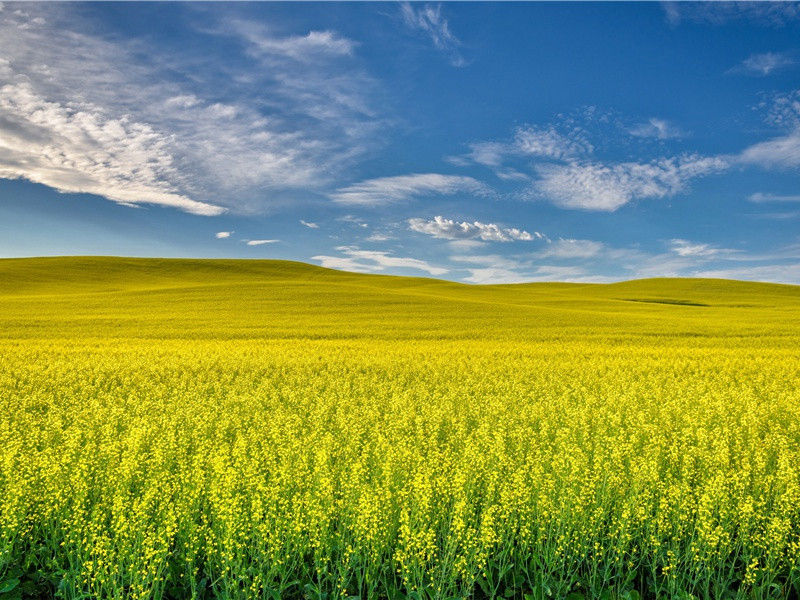楼下分流水声中,有当日凭高泪的意思出处赏析