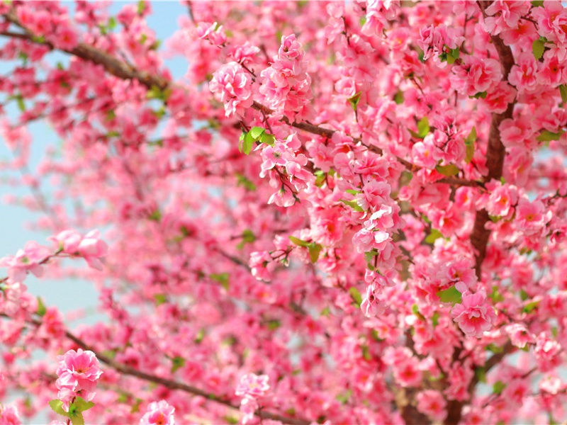 日轮驻霜戈,月魄悬琱弓出处意思赏析