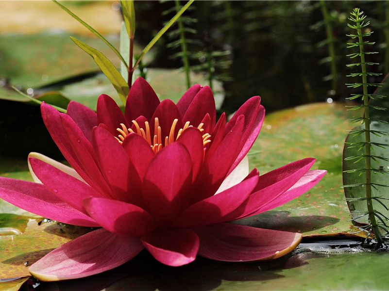 怎奈向,一缕相思,隔溪山不断出处意思赏析