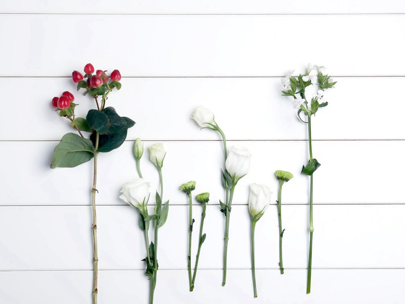 《春来百草》原文赏析-民歌散文诗