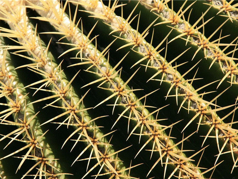 谩赢得青楼,薄幸名存的意思出处赏析