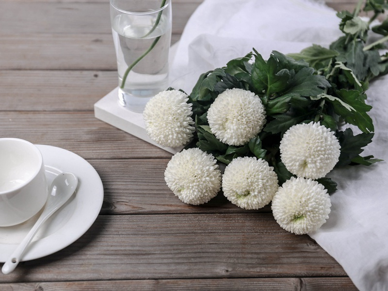 兔月清光隐,龙盘画烛新出处意思赏析