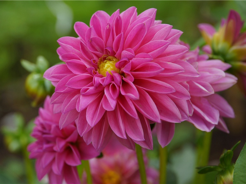 幸此息营营,啸歌静炎燠出处意思赏析