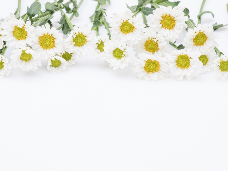 伫听寒声,云深无雁影出处意思赏析