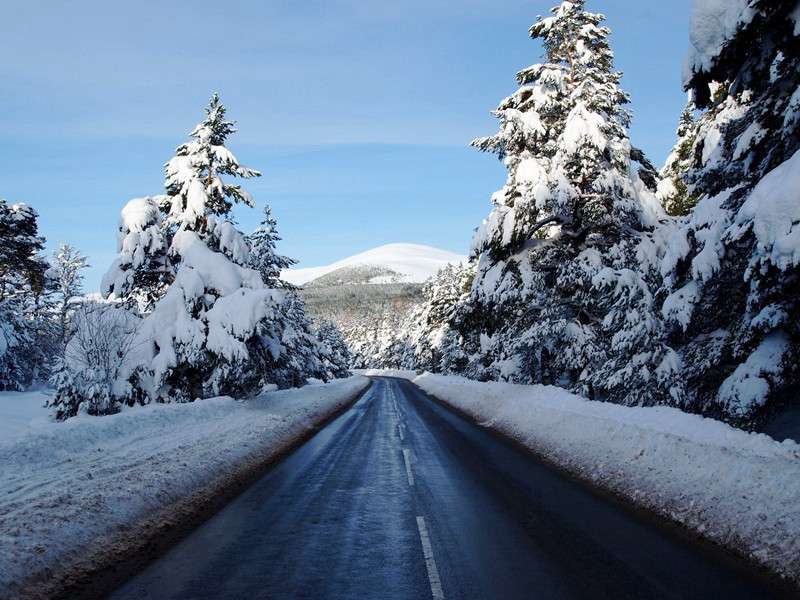 醉舞梁园夜,行歌泗水春出处意思赏析