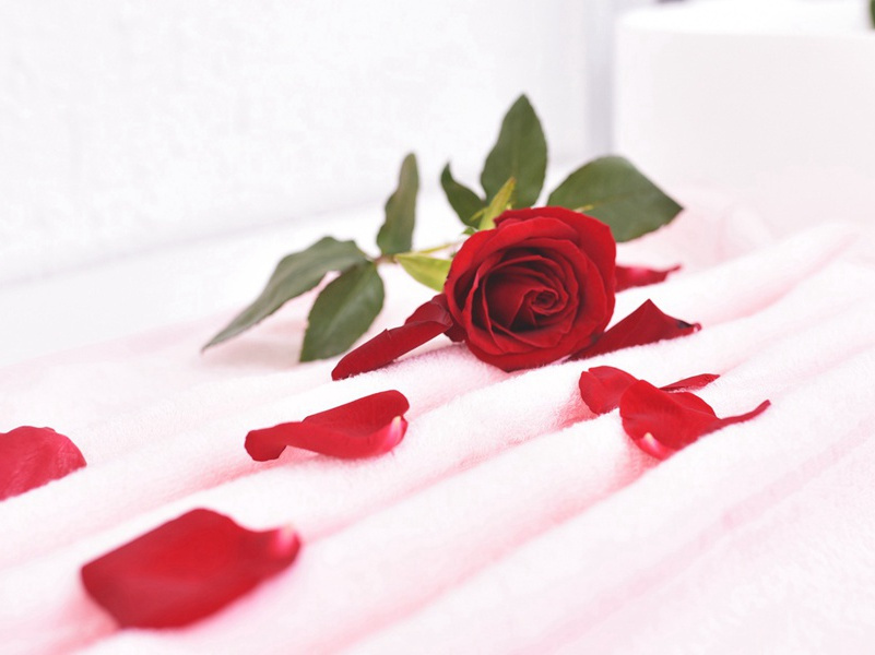 黄金万缕风牵细,寒食初头春有味出处意思赏析