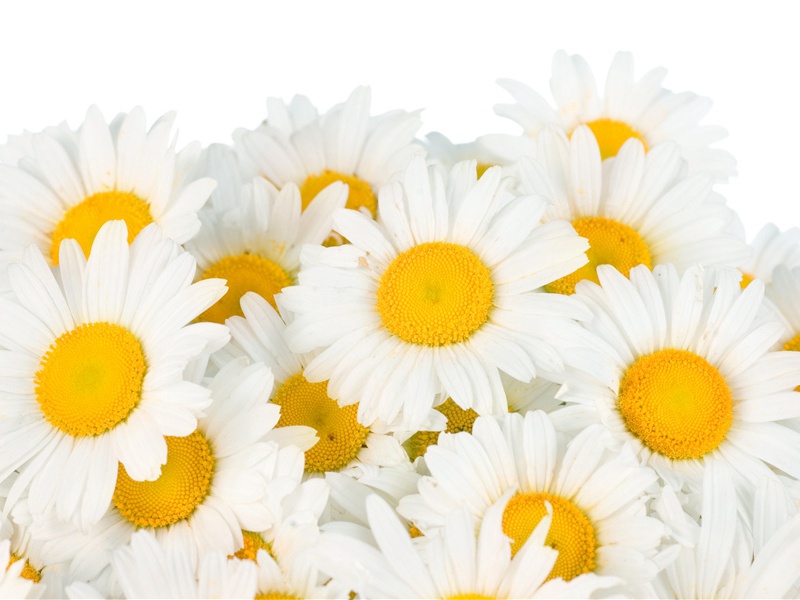 海阔山遥,未知何处是潇湘的出处意思赏析