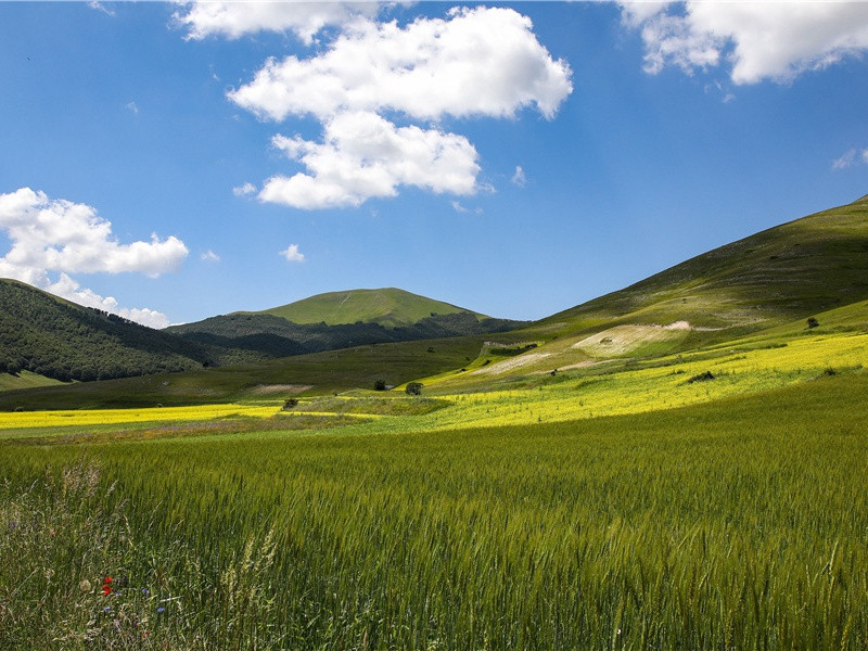 李白《越女词其二》吴儿多白皙)古诗翻译赏析阅读