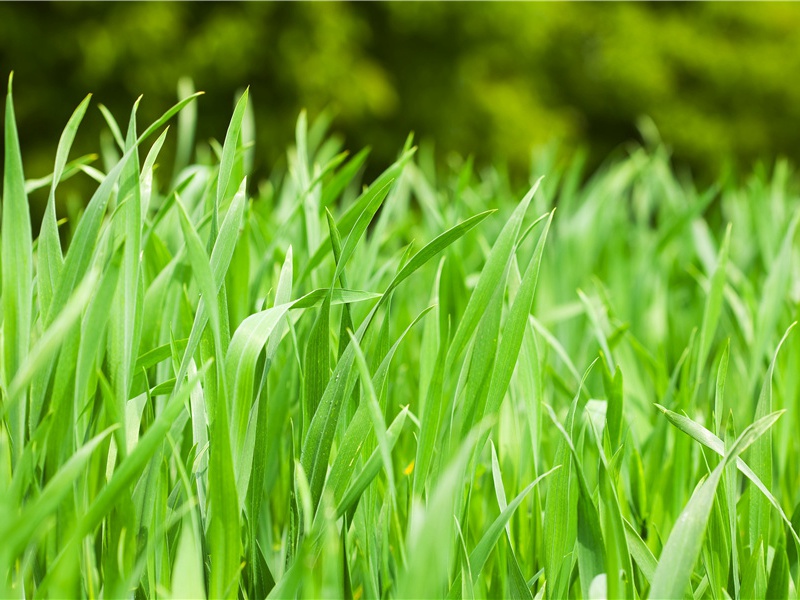 朱弦已为佳人绝,青眼聊因美酒横出处翻译赏析