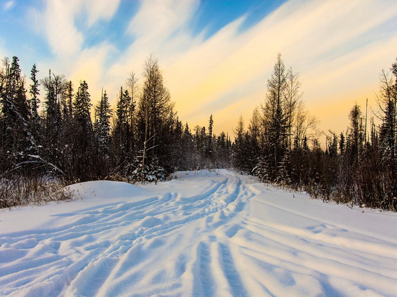 歌管楼亭声细细,秋千院落夜沉沉出处意思赏析