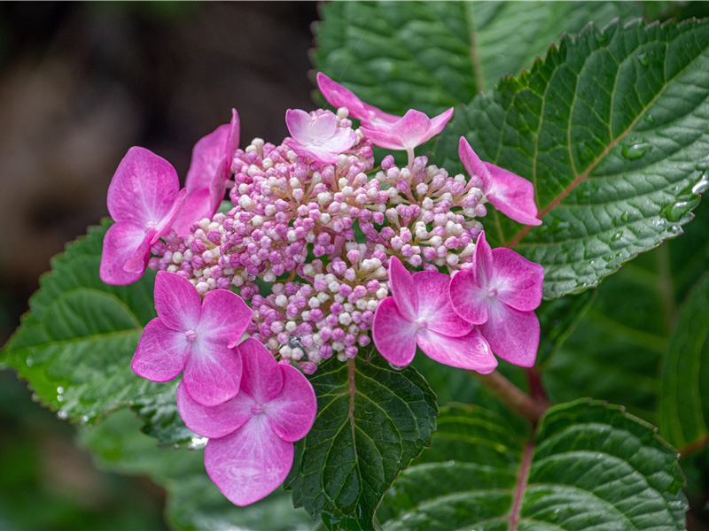 耶娘妻子走相送,尘埃不见咸阳桥的出处意思赏析