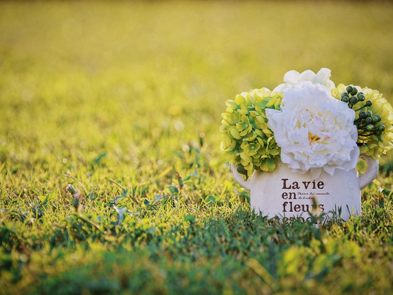 天畔群山孤草亭,江中风浪雨冥冥出处意思赏析