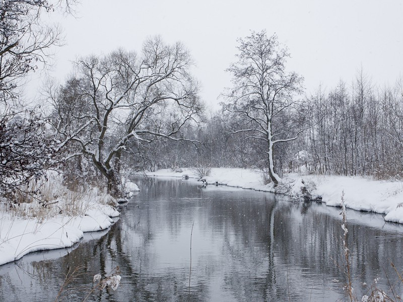 纨绔不饿死,儒冠多误身出处翻译赏析