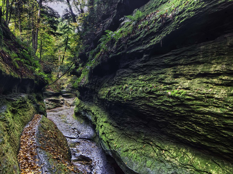 关山万里不可越,谁能坐对芳菲月出处意思赏析