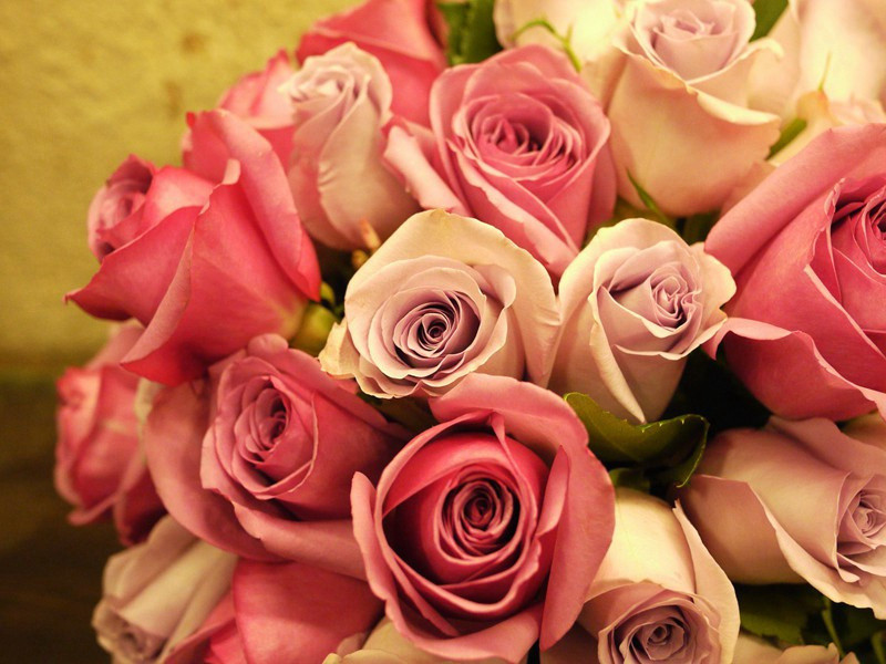 马嵬坡下泥土中,不见玉颜空死处的出处意思赏析