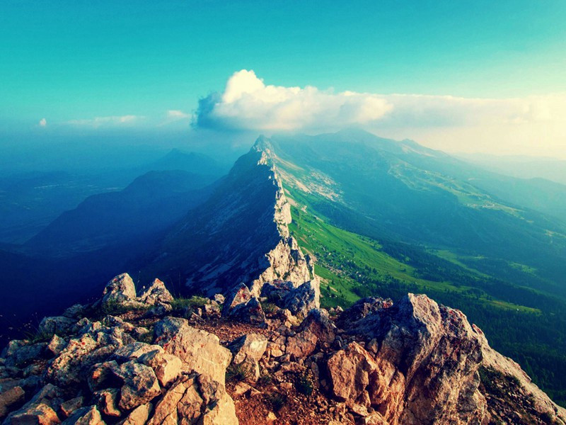 林静秋色多,潭深月光厚出处意思赏析