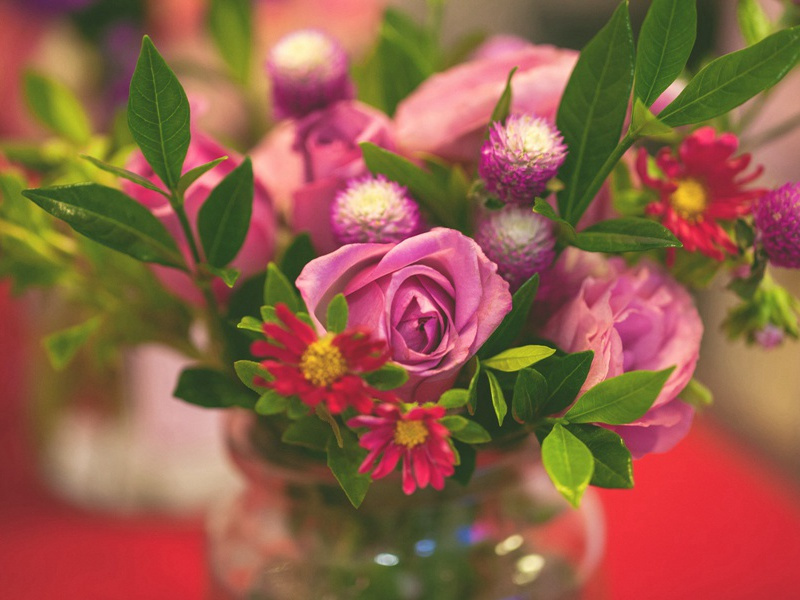 秋雨吟斋灯,夜月邻砧练出处意思赏析