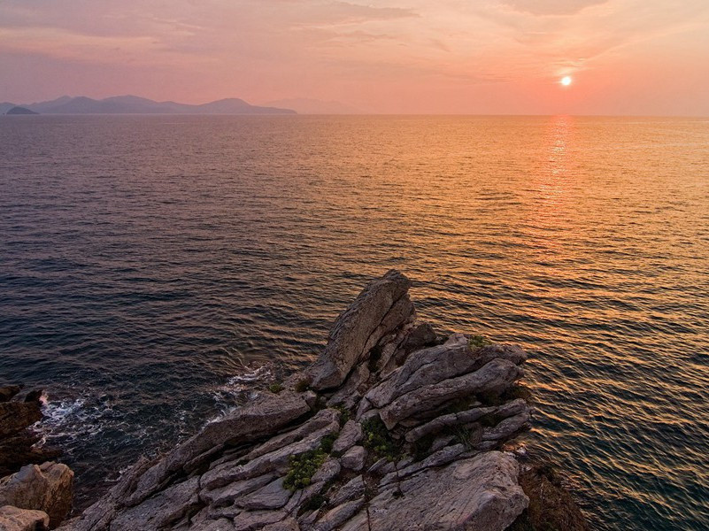晚来风起花如雪,飞入宫墙不见人出处意思赏析