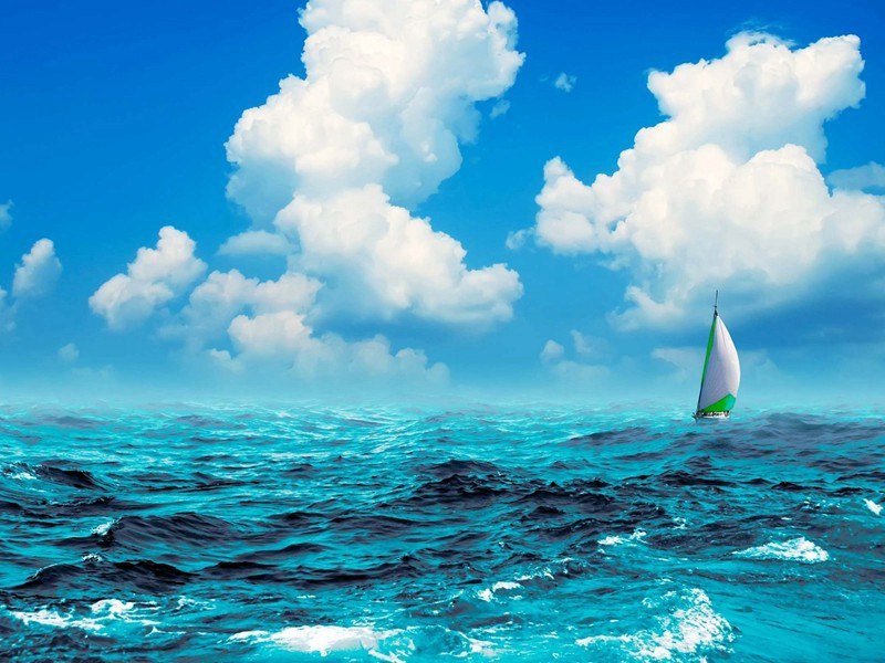 菊色滋寒露,芦花荡晚风出处意思赏析