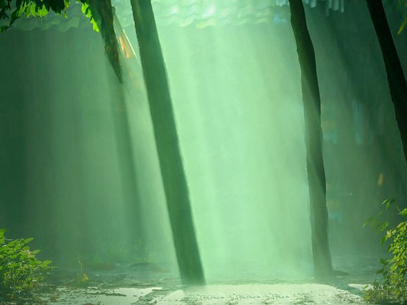 山水万重书断绝,念君怜我梦相闻出处意思赏析