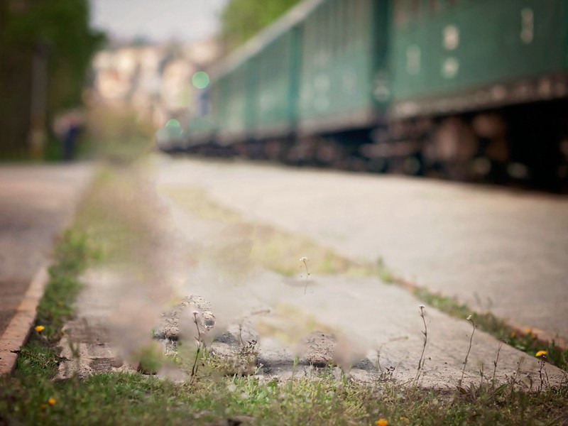 终古闲情归落照,一春幽梦逐游丝出处意思赏析
