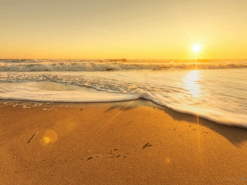 燕山雪花大如席,岂料江南亦见之出处意思赏析