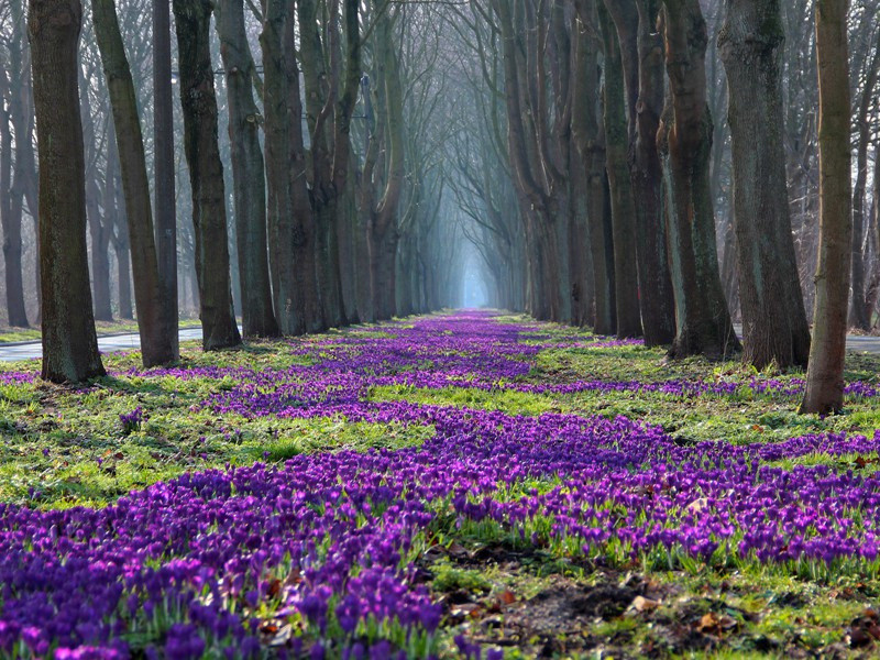 海阔山遥,未知何处是潇湘出处意思赏析