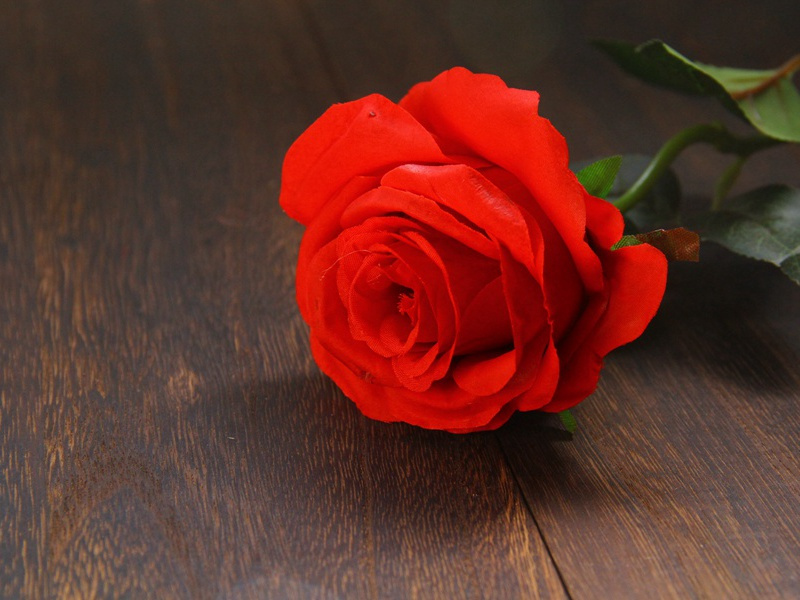 可有梅花寄一枝,雪来翠羽飞出处意思赏析