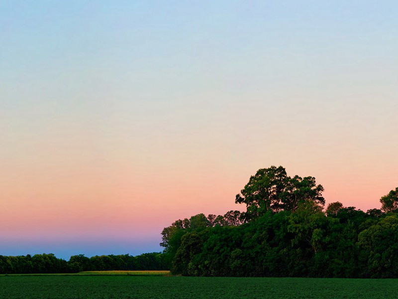 一男附书至,二男新战死的意思出处赏析