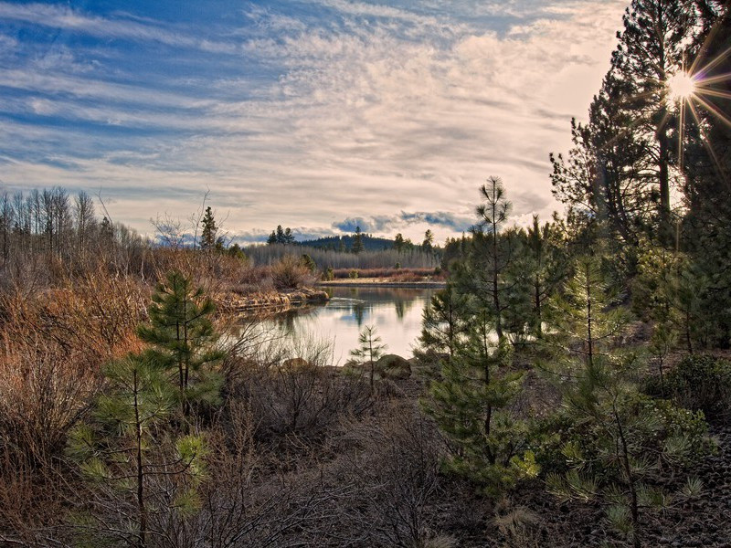 试问夜如何?夜已三更,金波淡,玉绳低转的意思出处赏析