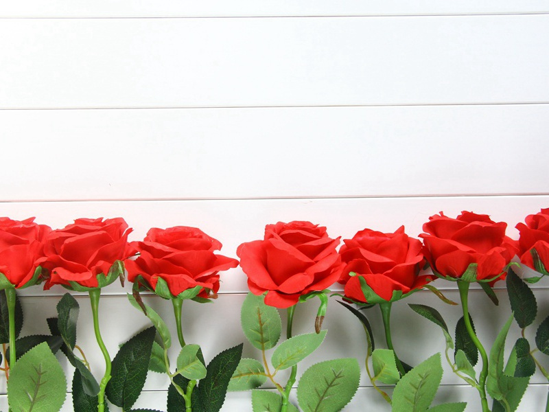 暮投石壕村,有吏夜捉人的意思出处赏析