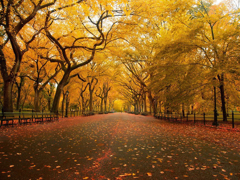 书当快意读易尽,客有可人期不来出处意思赏析