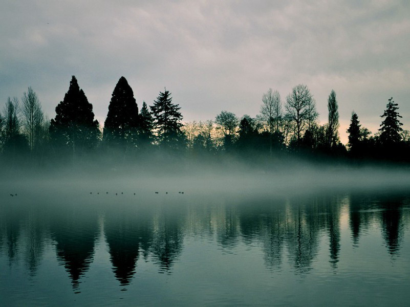 《调笑令·莺莺》原文,宋)秦观古诗