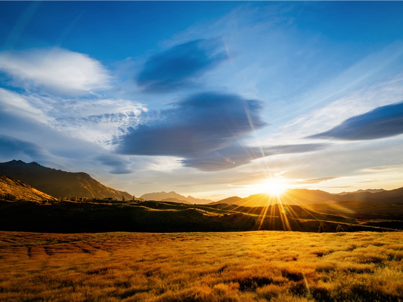 香醪欲醉茱萸节,壮志还为出塞歌出处意思赏析